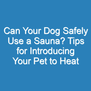 Can Your Dog Safely Use a Sauna? Tips for Introducing Your Pet to Heat